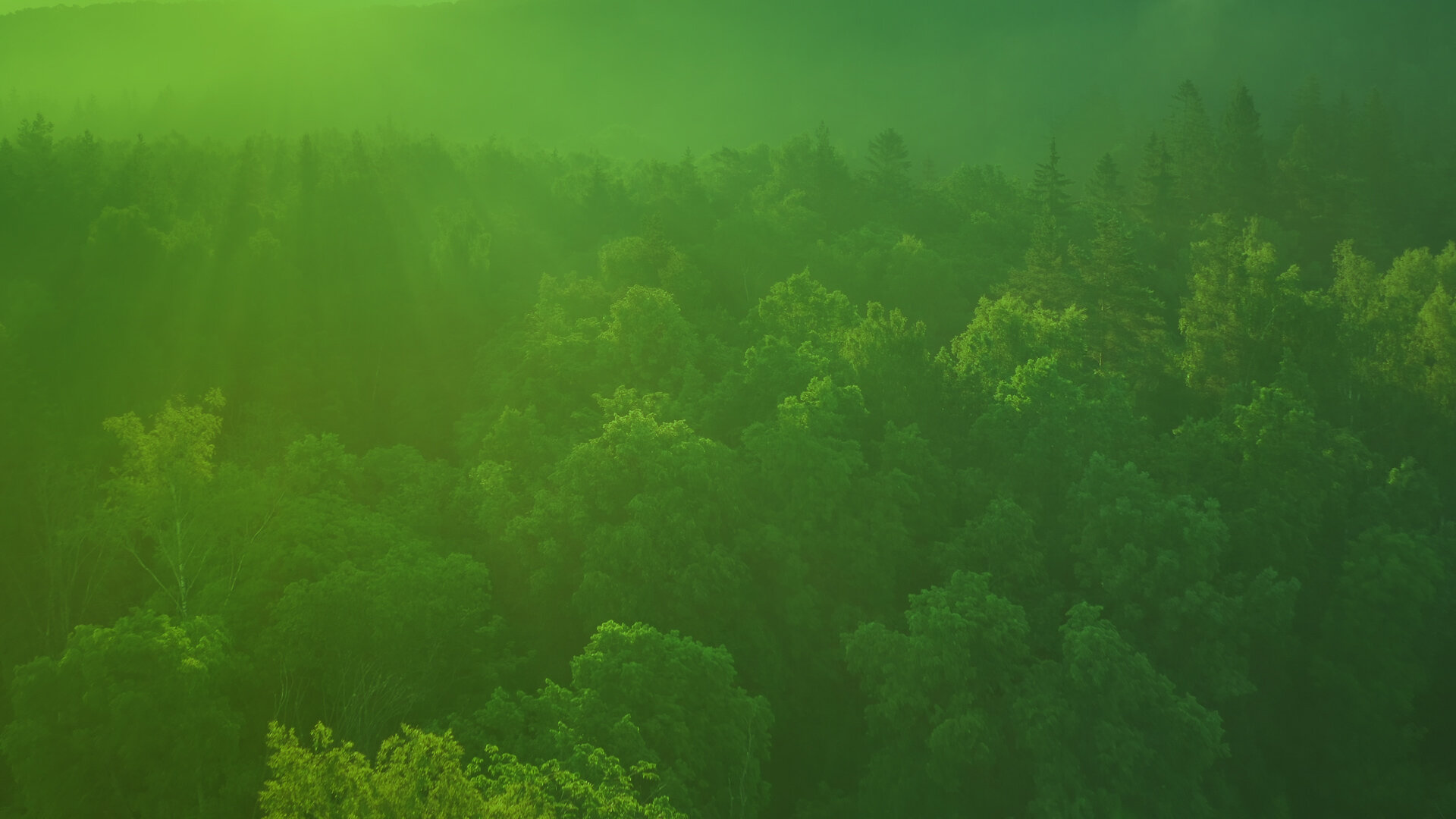 Delignit - boost your sustainability