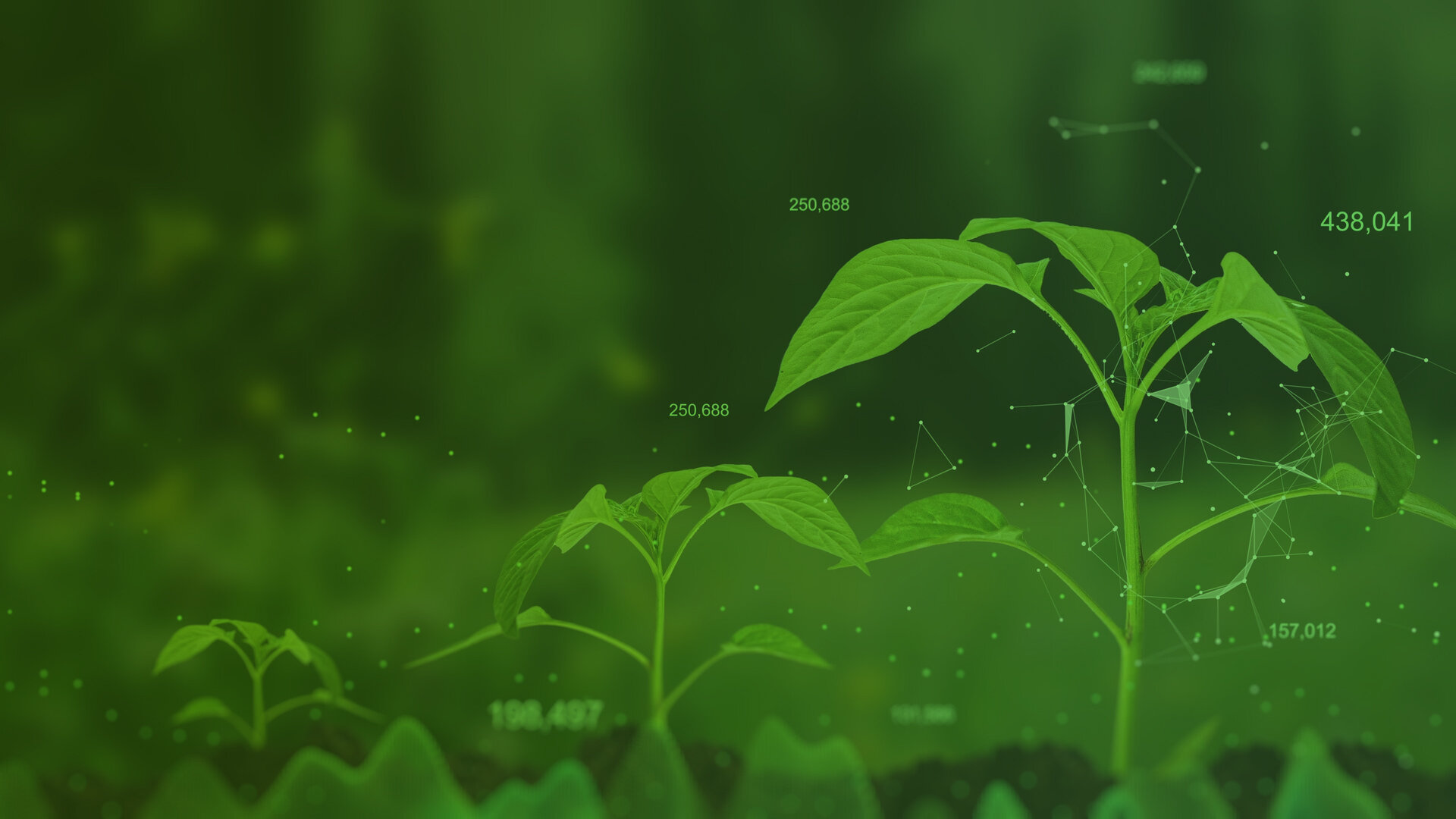 Delignit - boost your sustainability