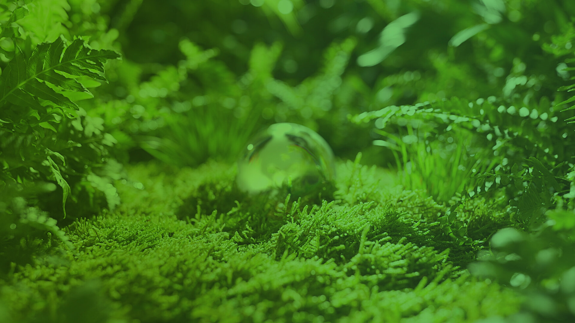 Delignit - boost your sustainability